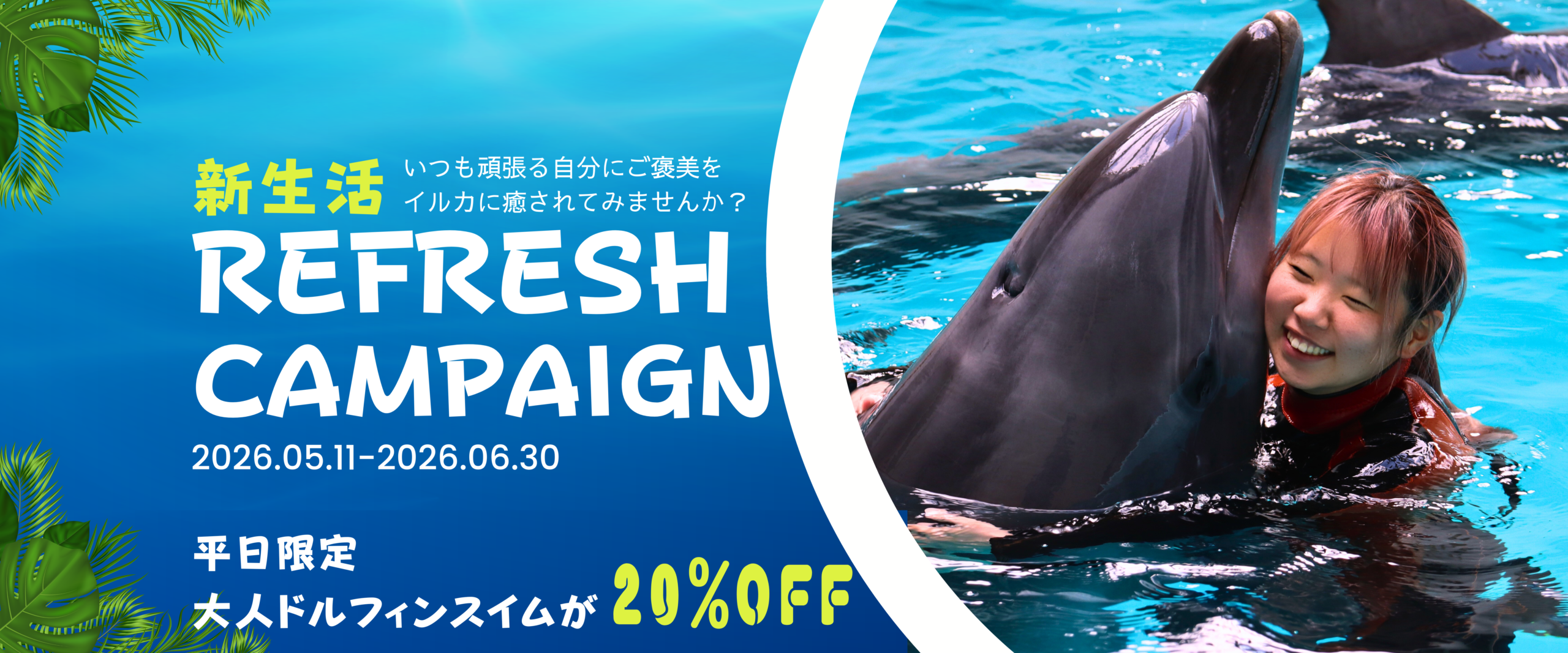平日WEB予約限定】新生活リフレッシュキャンペーン （大人のドルフィン 